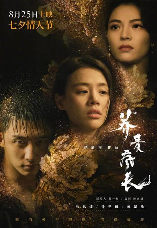 大都会大学文凭毕业证作假